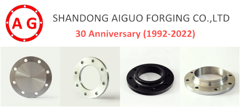 AG Flange - ໂປຣໂມຊັນ Carnival ຄົບຮອບ 30 ປີ!